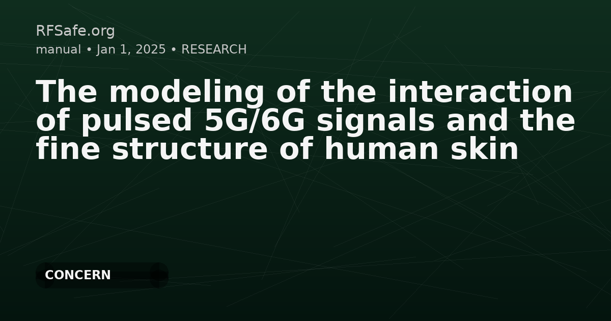 The modeling of the interaction of pulsed 5G/6G signals and the fine structure of human skin