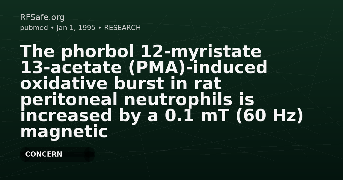 The phorbol 12-myristate 13-acetate (PMA)-induced oxidative burst in rat peritoneal neutrophils is increased by a 0.1 mT (60 Hz) magnetic field.