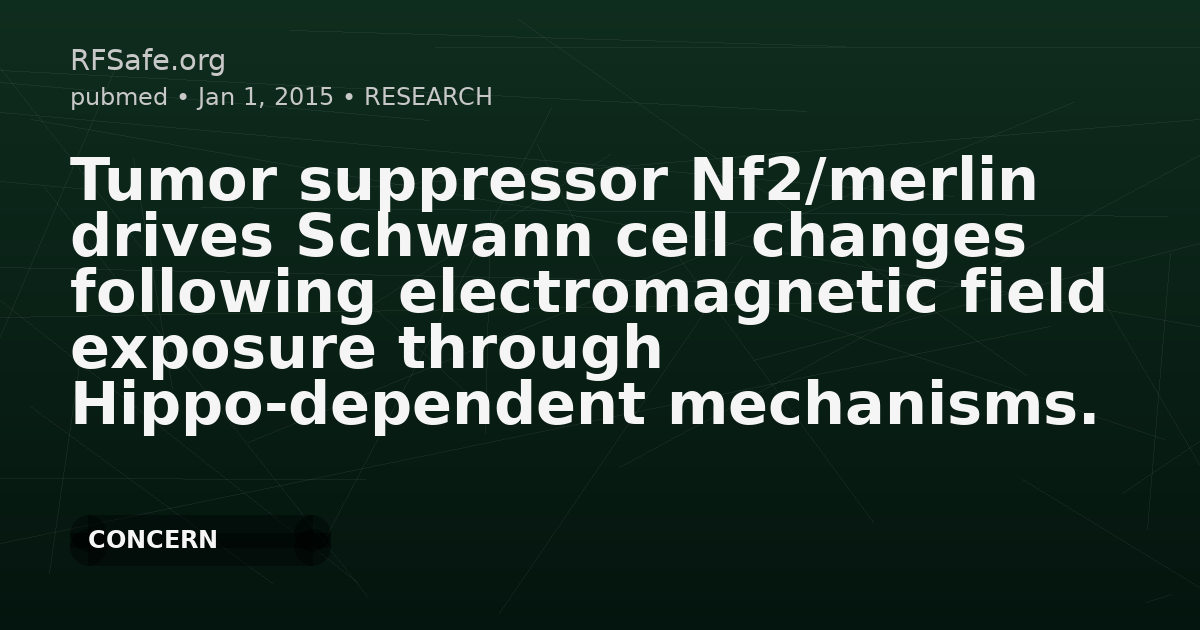 Tumor suppressor Nf2/merlin drives Schwann cell changes following electromagnetic field exposure through Hippo-dependent mechanisms.