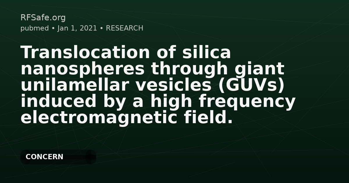 Translocation of silica nanospheres through giant unilamellar vesicles (GUVs) induced by a high frequency electromagnetic field.