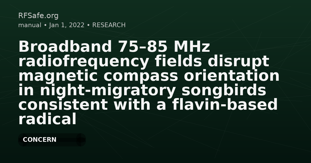 Broadband 75–85 MHz radiofrequency fields disrupt magnetic compass orientation in night-migratory songbirds consistent with a flavin-based radical pair magnetoreceptor