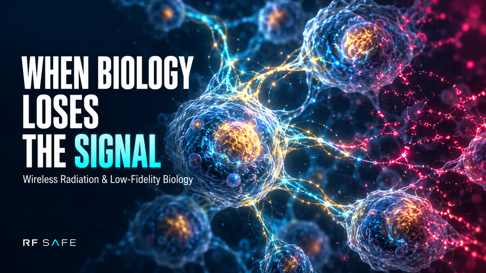 Wireless Radiation and Low-Fidelity Biology: What the Public Record Is Asking Us to Investigate