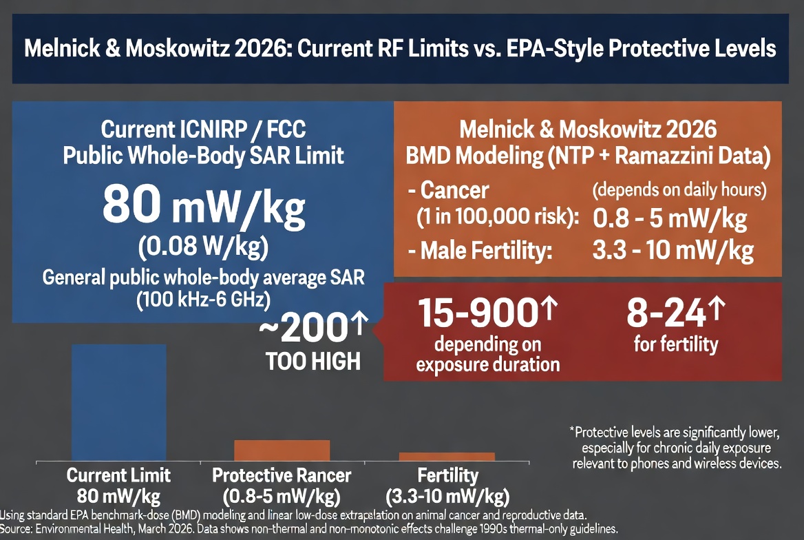 U.S. Cell Phone Radiation Limits Are 200 TIMES Too High — Kids’ Brains, Fertility, and Futures Are Being Microwaved While a Tiny Cartel Clings to 1996 Lies